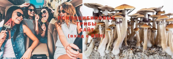 мяу мяу кристалл Алексин