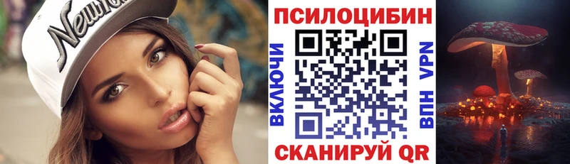 Галлюциногенные грибы MAGIC MUSHROOMS  купить наркотики цена  Чкаловск 